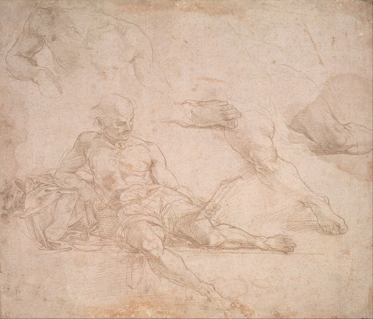 Studie k postavě Diogena v Aténské škole od Michelangelo Buonarroti