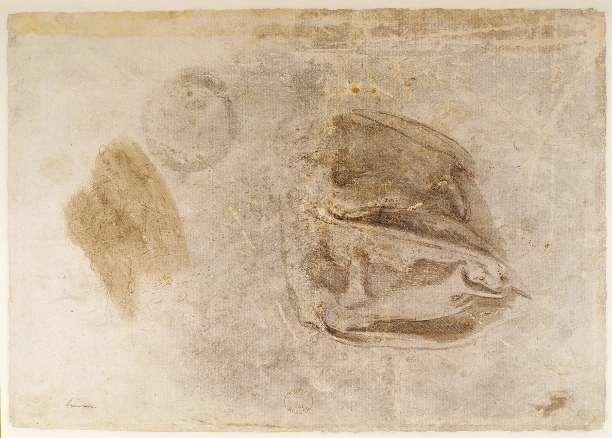 Studie pro roucho Erythraean Sibyly (uhlí s bílými odlesky a hnědým praním na papíře) od Michelangelo Buonarroti