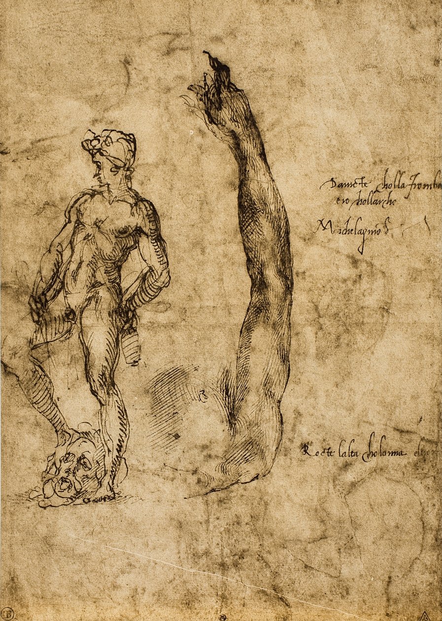 Studie k soše Davida; kresba Michelangelo. Louvre, Paříž od Michelangelo Buonarroti
