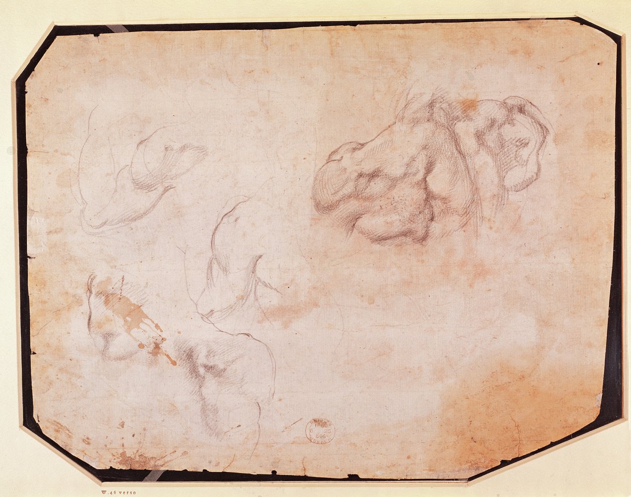 Studium svalů (verso) (pro recto viz 191769) od Michelangelo Buonarroti