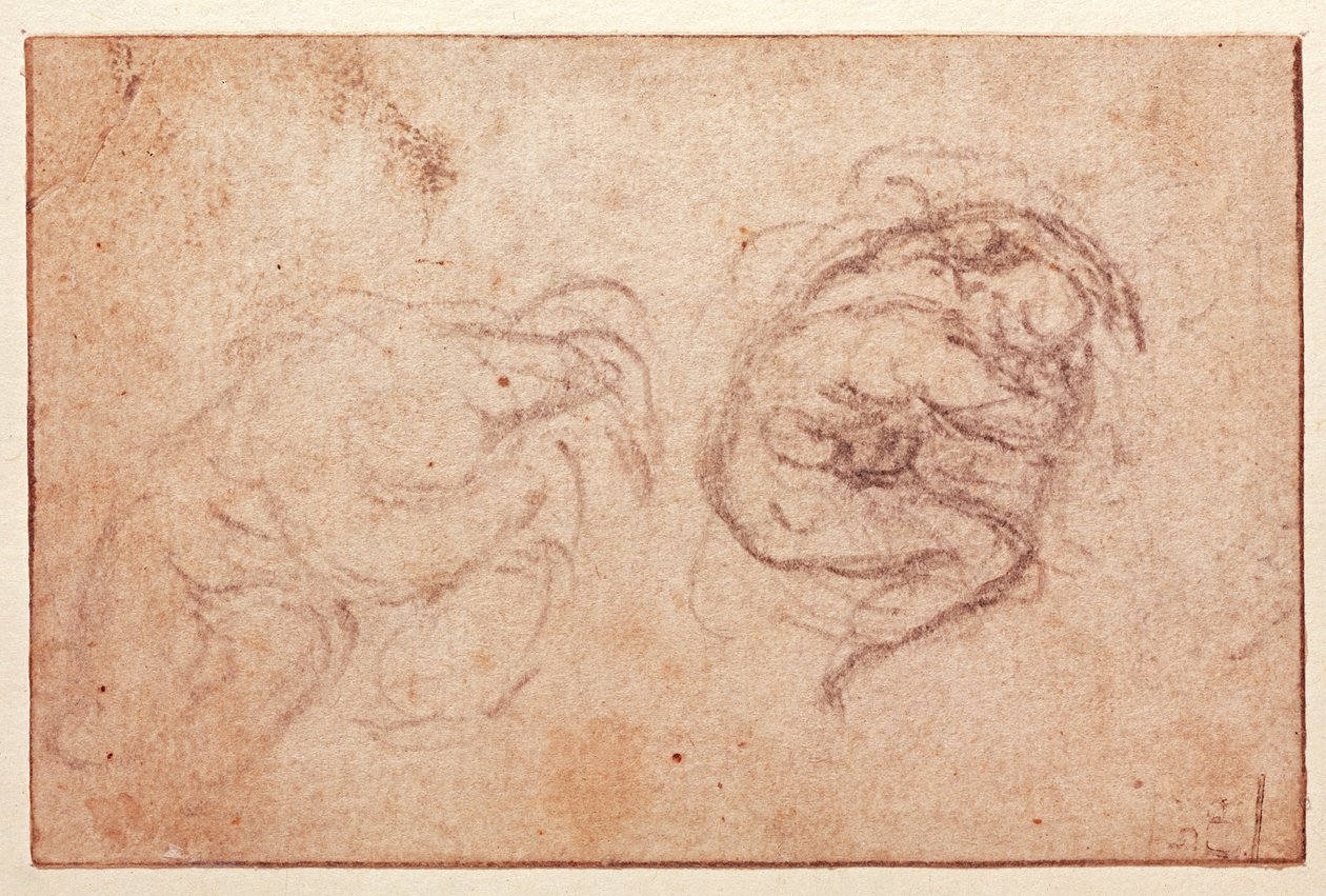 Studie skrčené postavy (černá křída na papíře) (recto) od Michelangelo Buonarroti