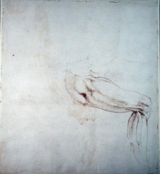 Studie nohy s poznámkami (hnědý inkoust na papíře) (recto) od Michelangelo Buonarroti