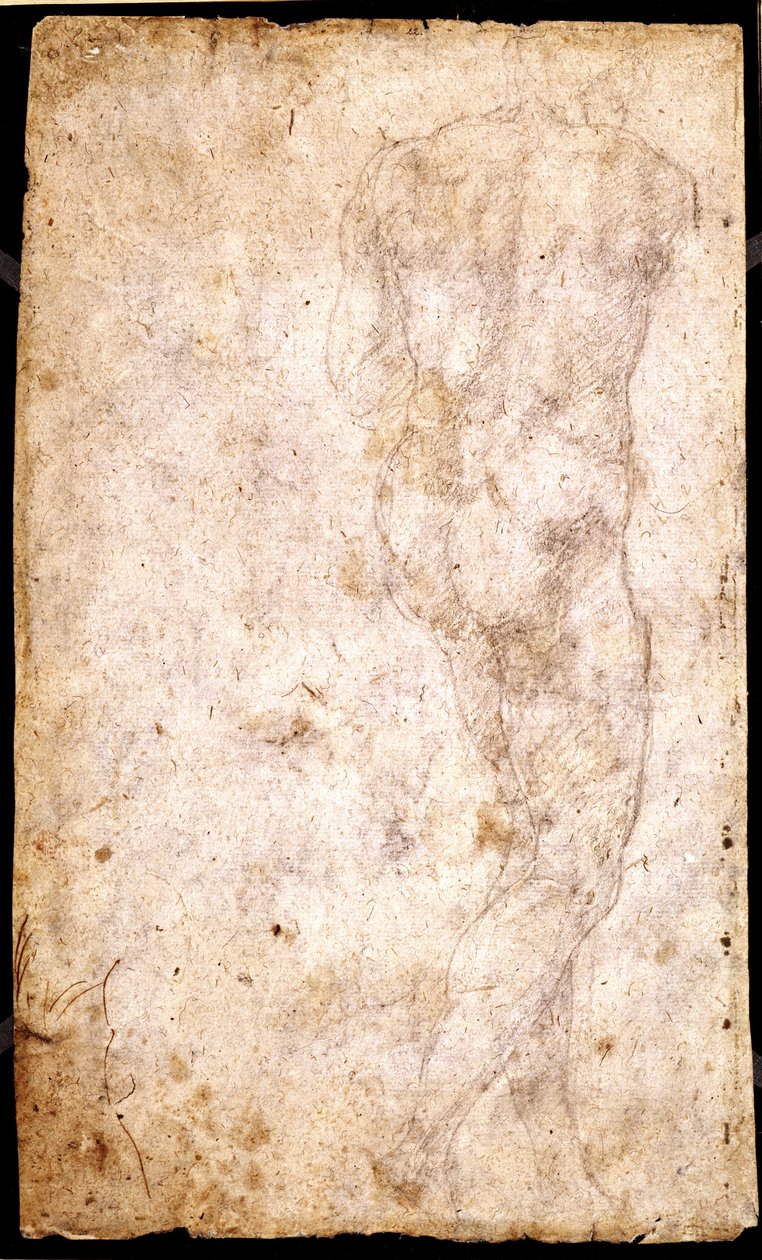 Studie mužského aktu od Michelangelo Buonarroti