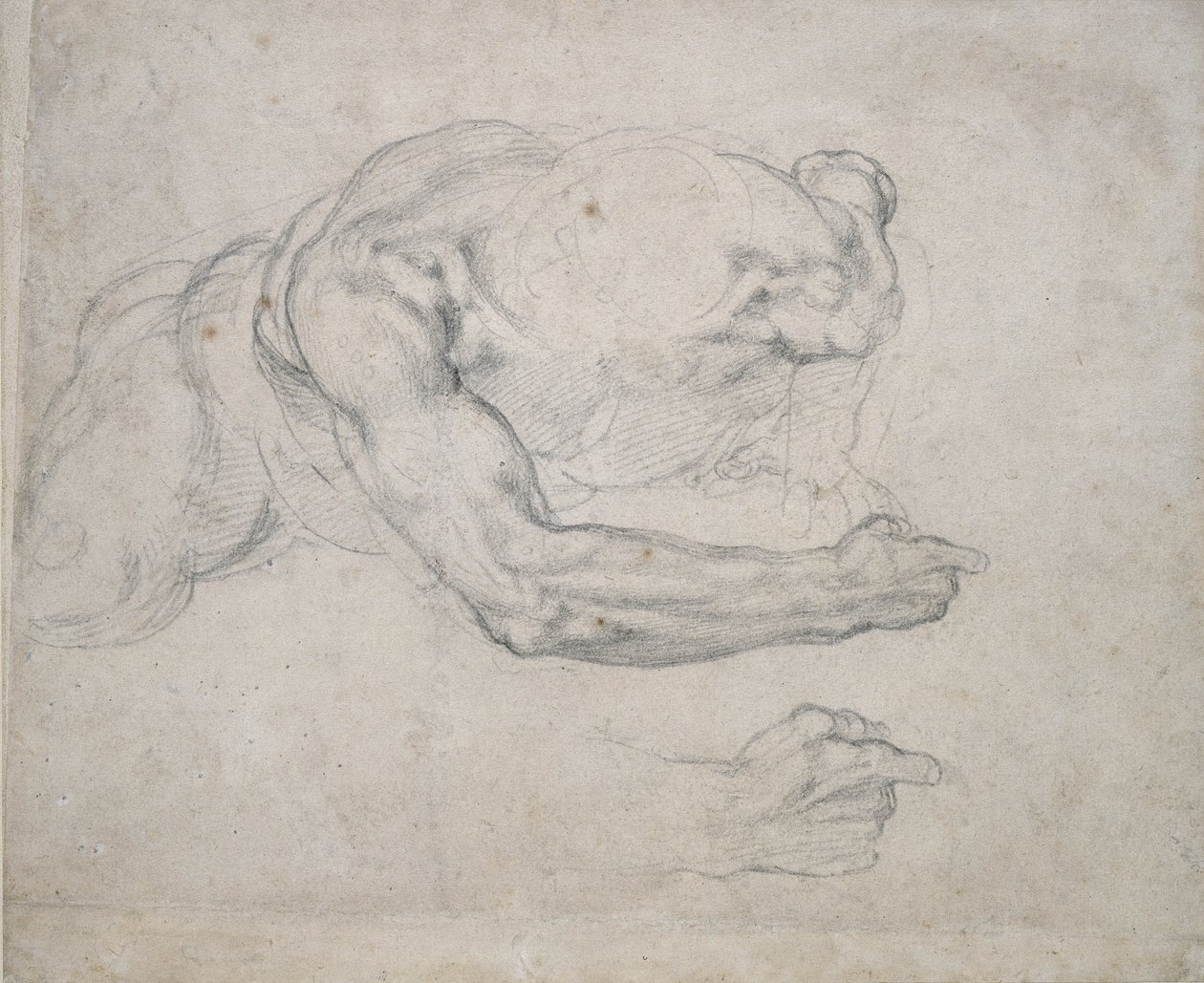 Studie muže stoupajícího ze země (černá křída na špinavě bílém papíře) od Michelangelo Buonarroti