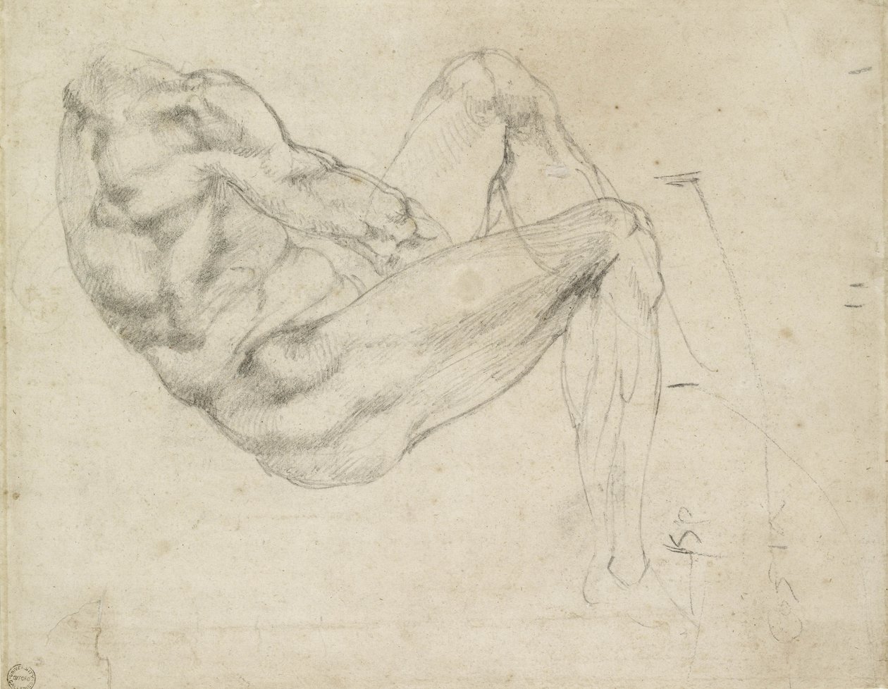 Studie ležící mužské postavy, recto (černá křída na špinavě bílém papíře) od Michelangelo Buonarroti