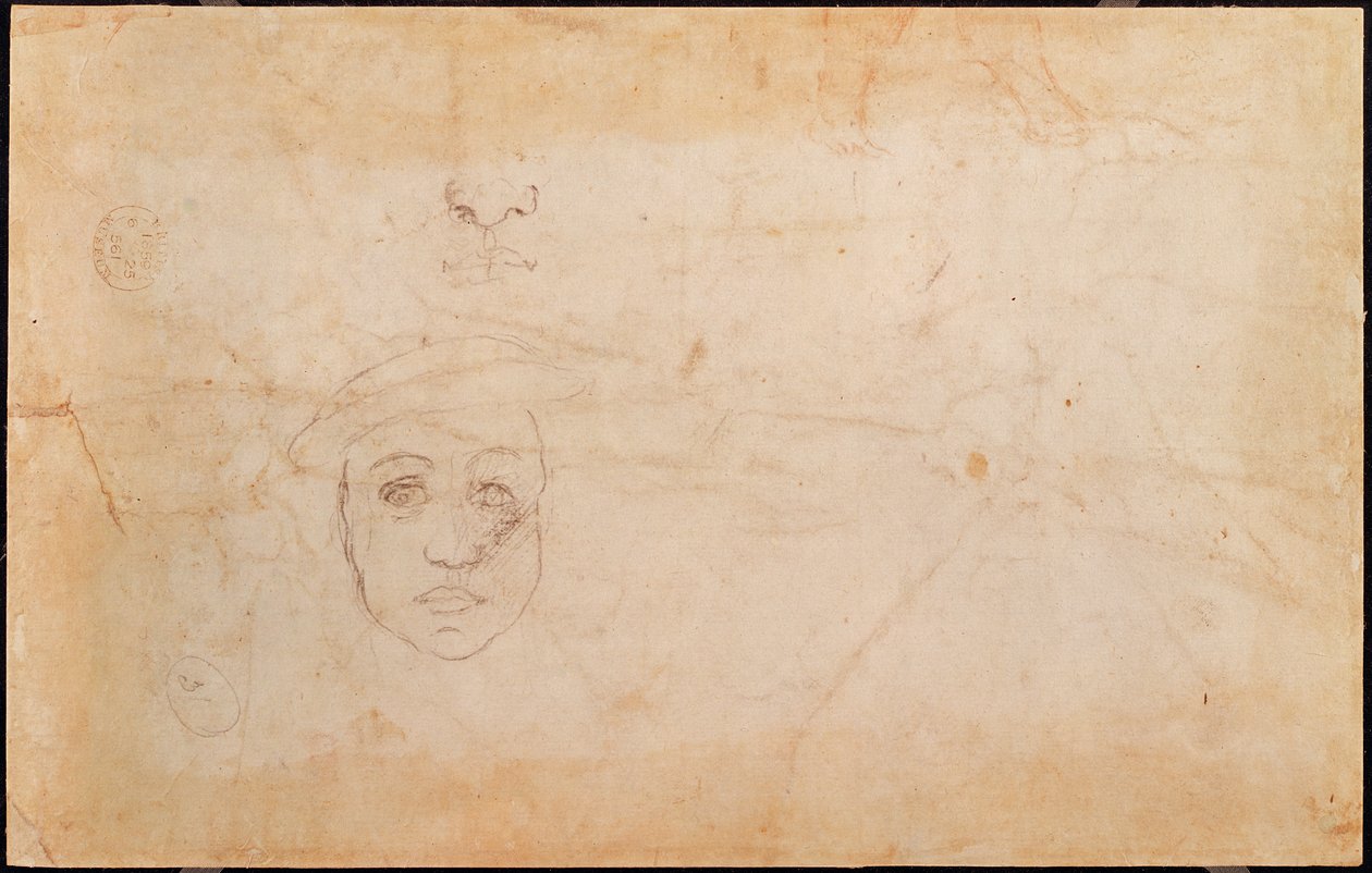 Studie mužské hlavy (verso) od Michelangelo Buonarroti