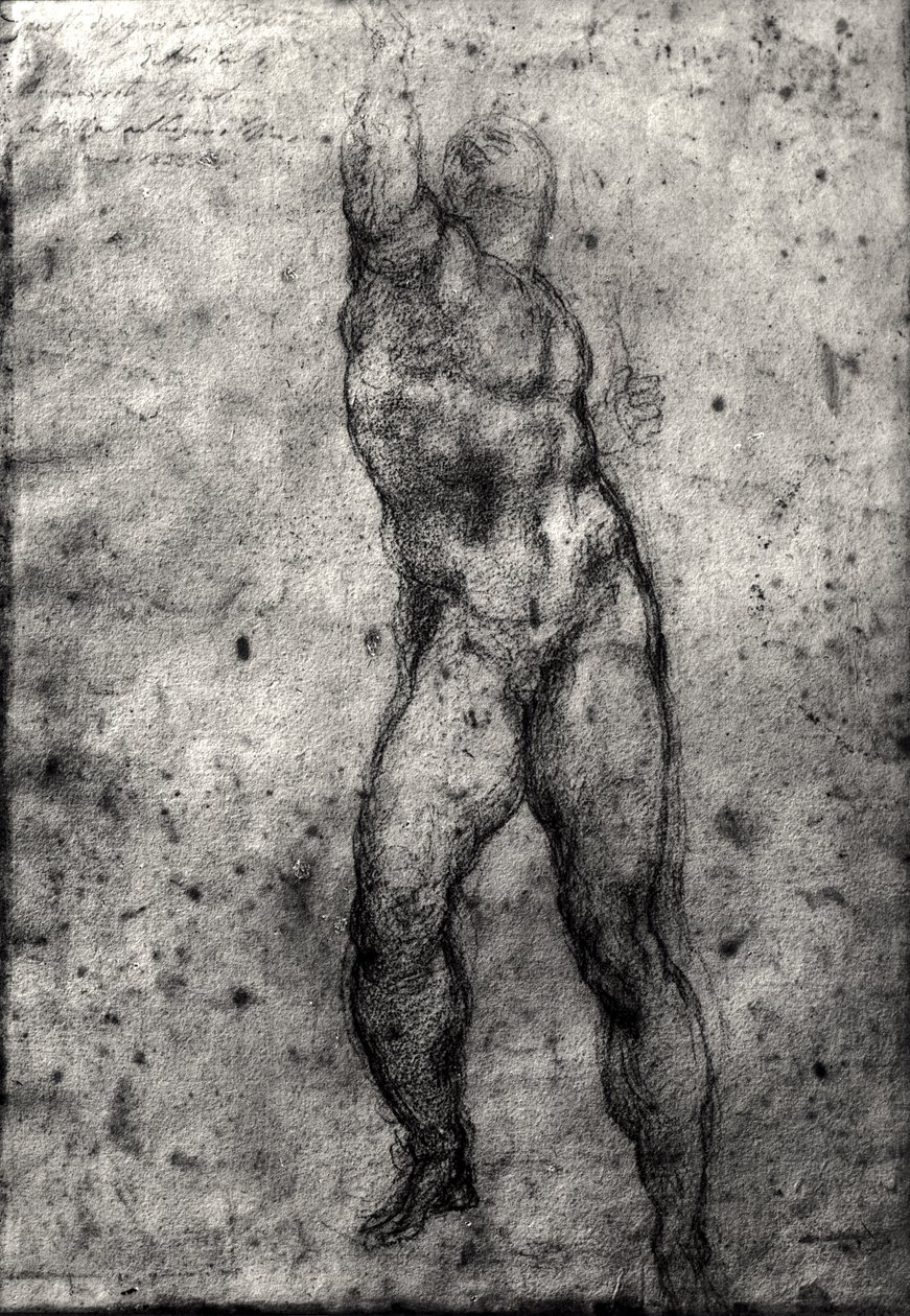 Studie mužského aktu od Michelangelo Buonarroti