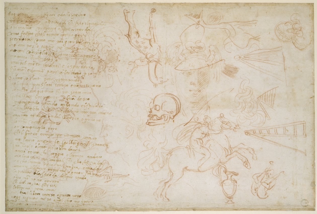 Studium hlav a zvířat, c.1525 (červená křída a pero na papíře) od Michelangelo Buonarroti