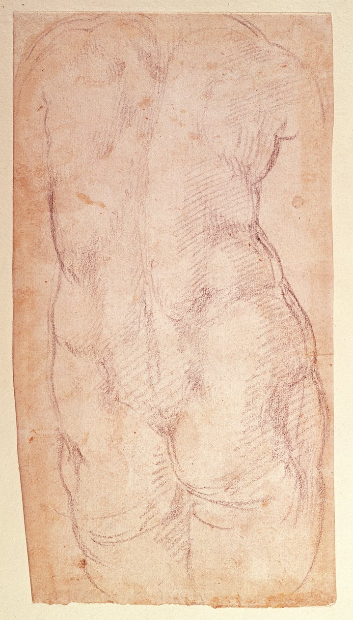 Studie zad nahé postavy od Michelangelo Buonarroti
