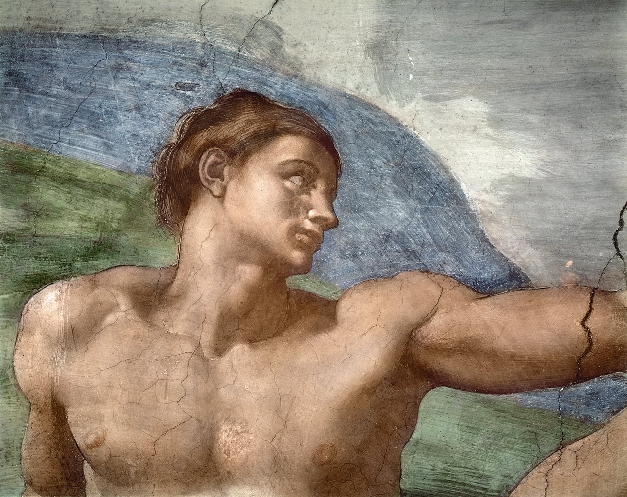 Stvoření Adama, detail Adamsovy hlavy, 1508-12 od Michelangelo Buonarroti