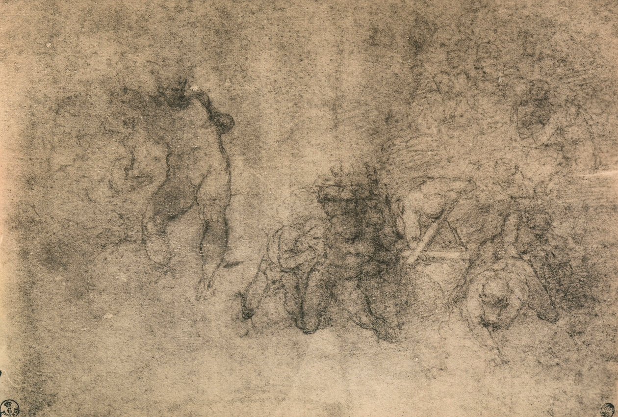Různé studie mužského aktu, Michelangelo. Kabinet kreseb a tisků, Galerie Uffizi, Florencie od Michelangelo Buonarroti