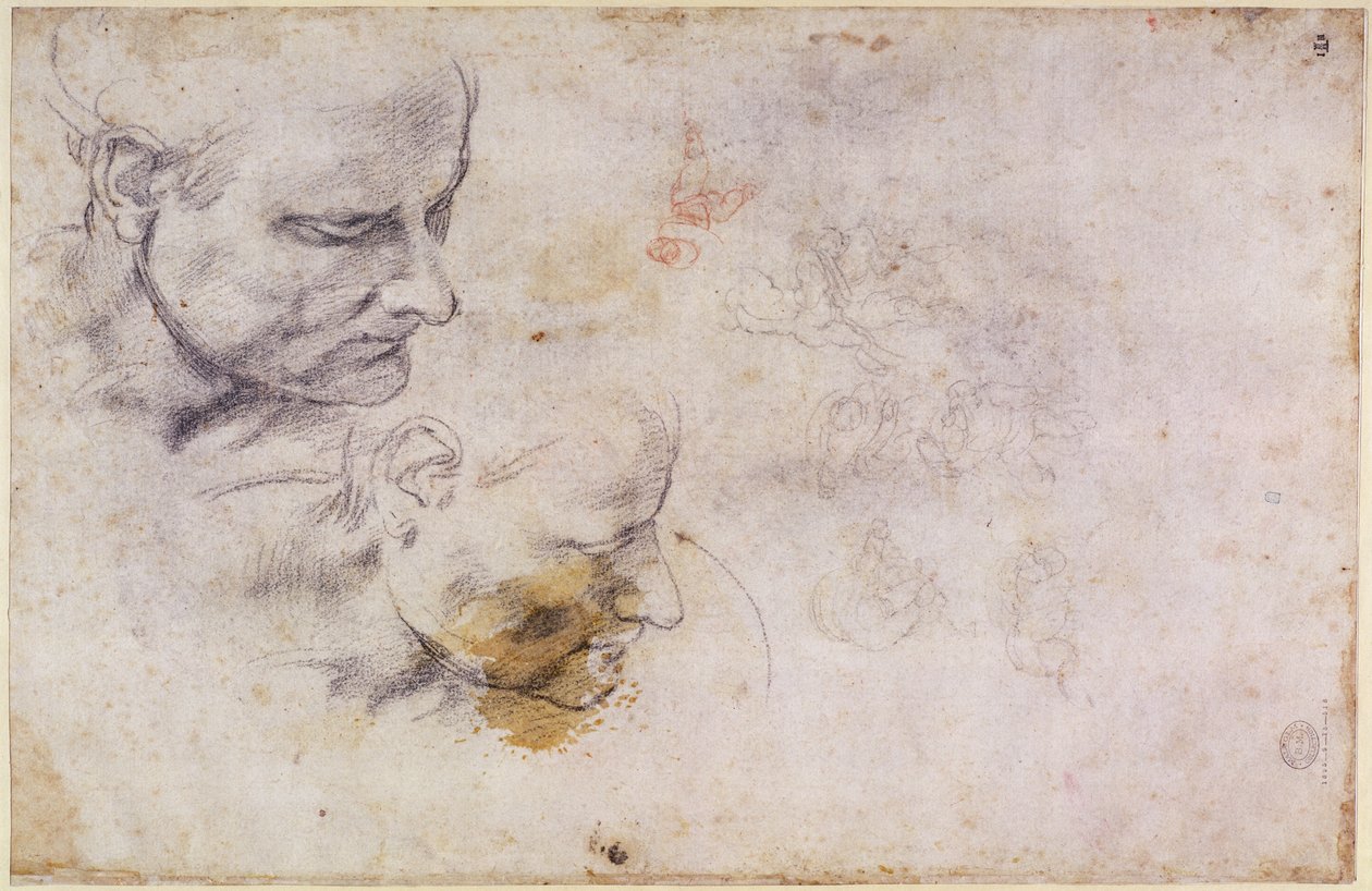 W.60 Náčrt mužské hlavy ve dvou polohách od Michelangelo Buonarroti