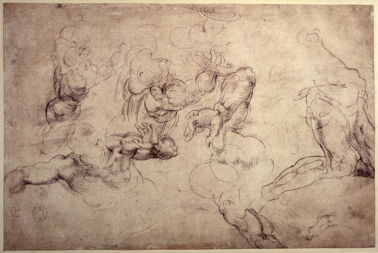 W.61v Studie mužské postavy od Michelangelo Buonarroti