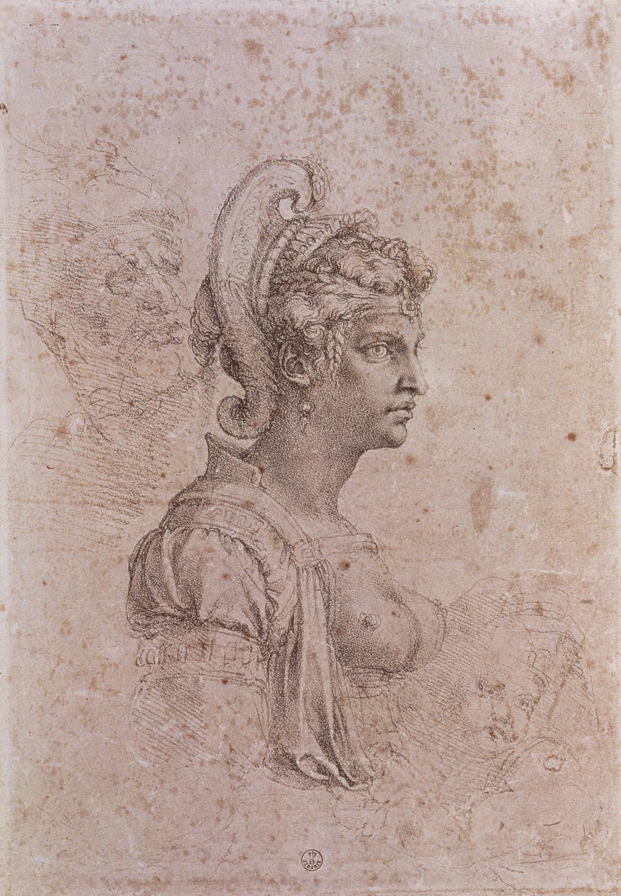 Zenobia, královna Palmýry, Sýrie (3. století našeho letopočtu) (uhlí na papíře) od Michelangelo Buonarroti