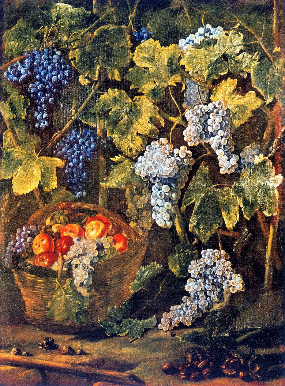 Zátiší s košíkem ovoce, kaštany a pozadím nebo vinnou révou a hrozny od Michelangelo Cerquozzi