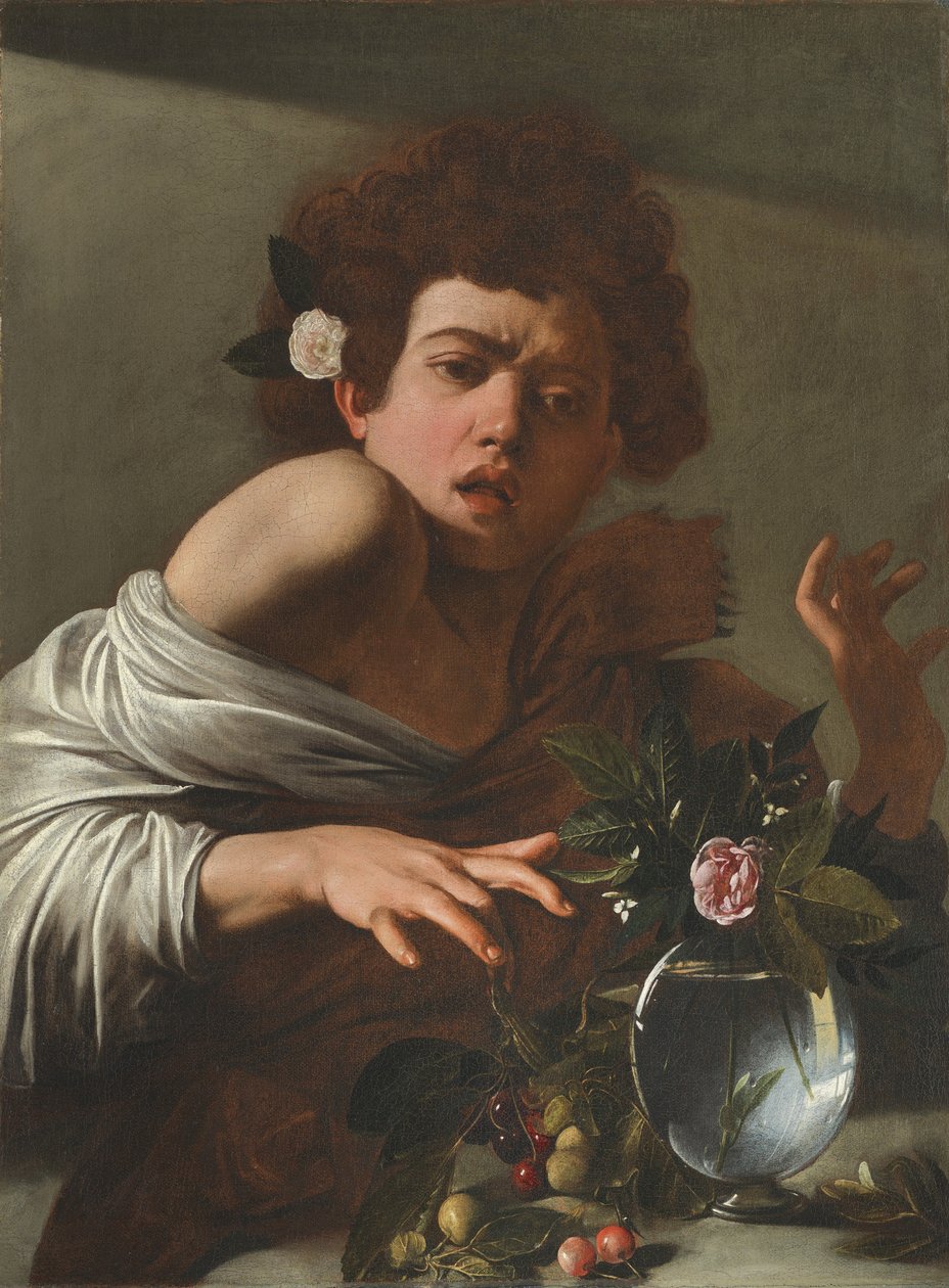 Chlapec pokousaný ještěrkou, kolem 1595-1600 od Michelangelo Merisi Caravaggio