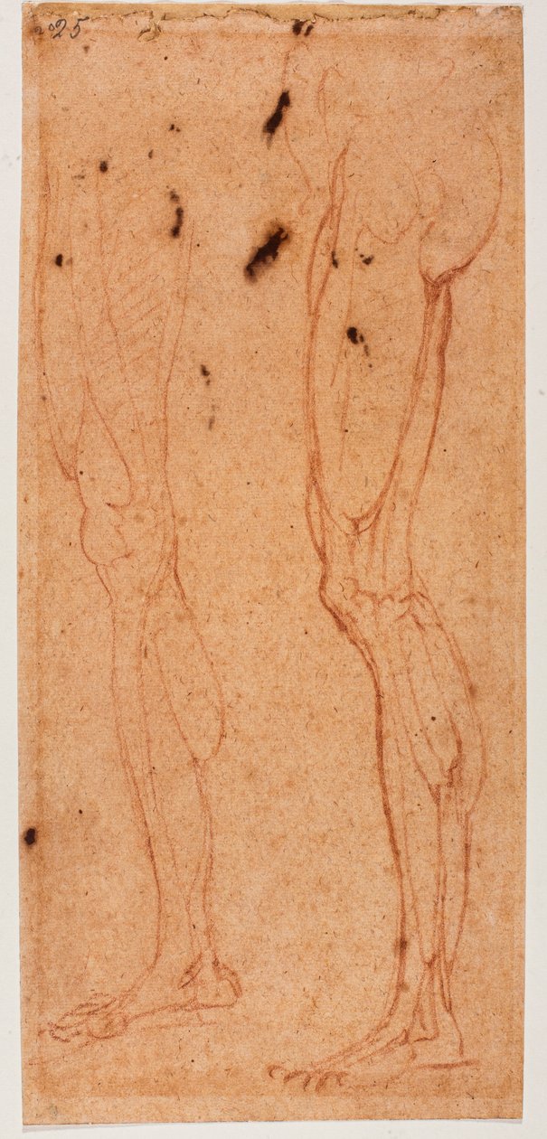 Studie nohou od Michelangelo (after) Buonarroti
