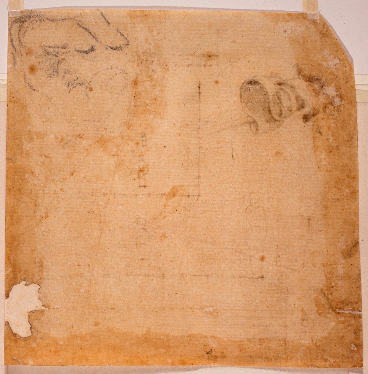 Perspektivní studie a banner od Michelangelo (after) Buonarroti