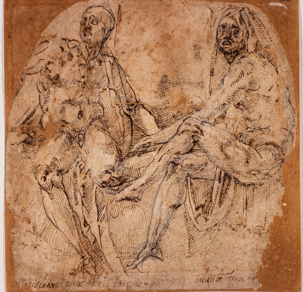 Studie aktů od Michelangelo (after) Buonarroti