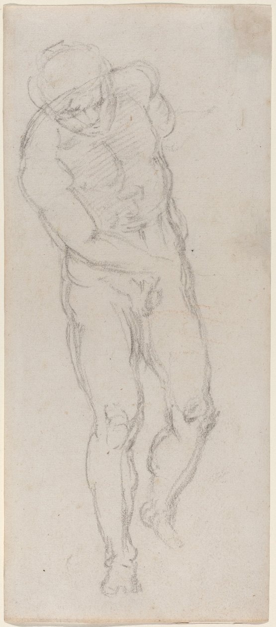 mužský akt [recto] od Michelangelo