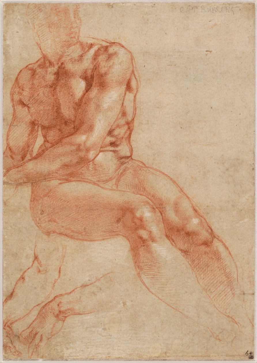 Sedící mladý mužský akt a dvě studie rukou (recto), asi 1510-11 od Michelangelo