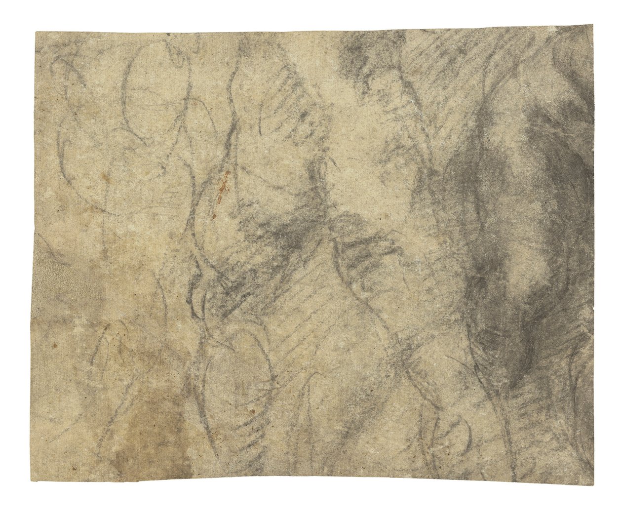 Mužský akt při pohledu zezadu od Michelangelo Buonarroti