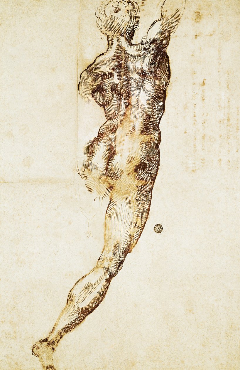 Mužský akt viděný zezadu, studie pro bitvu u Casciny, od Michelangela (1475-1564), kresba. od Michelangelo Buonarroti