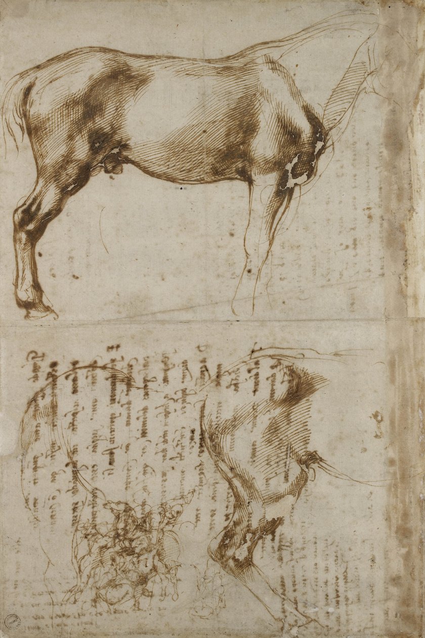 Anatomic Horse study, 1504 od Michelangelo Buonarroti