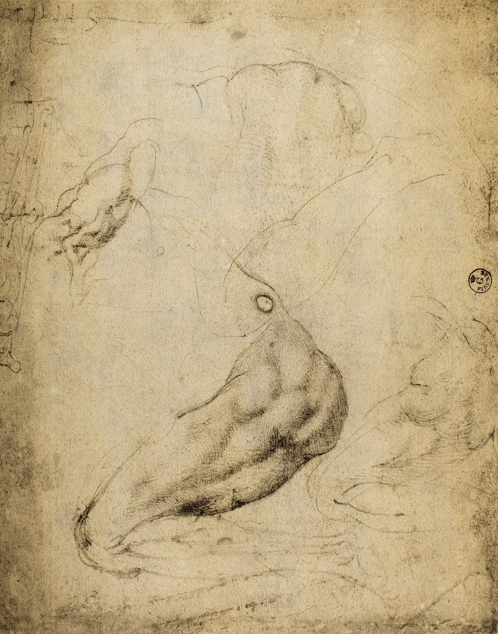 Anatomická studie: kresba Michelangela dochovaná v Pokoji kreseb a tisků, Galerie Uffizi, Florencie. od Michelangelo Buonarroti