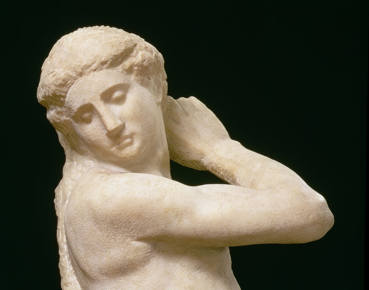 Apollo, nebo David, detail hlavy, socha Michelangelo Buonarroti 1475-1564 detail 79842 od Michelangelo Buonarroti