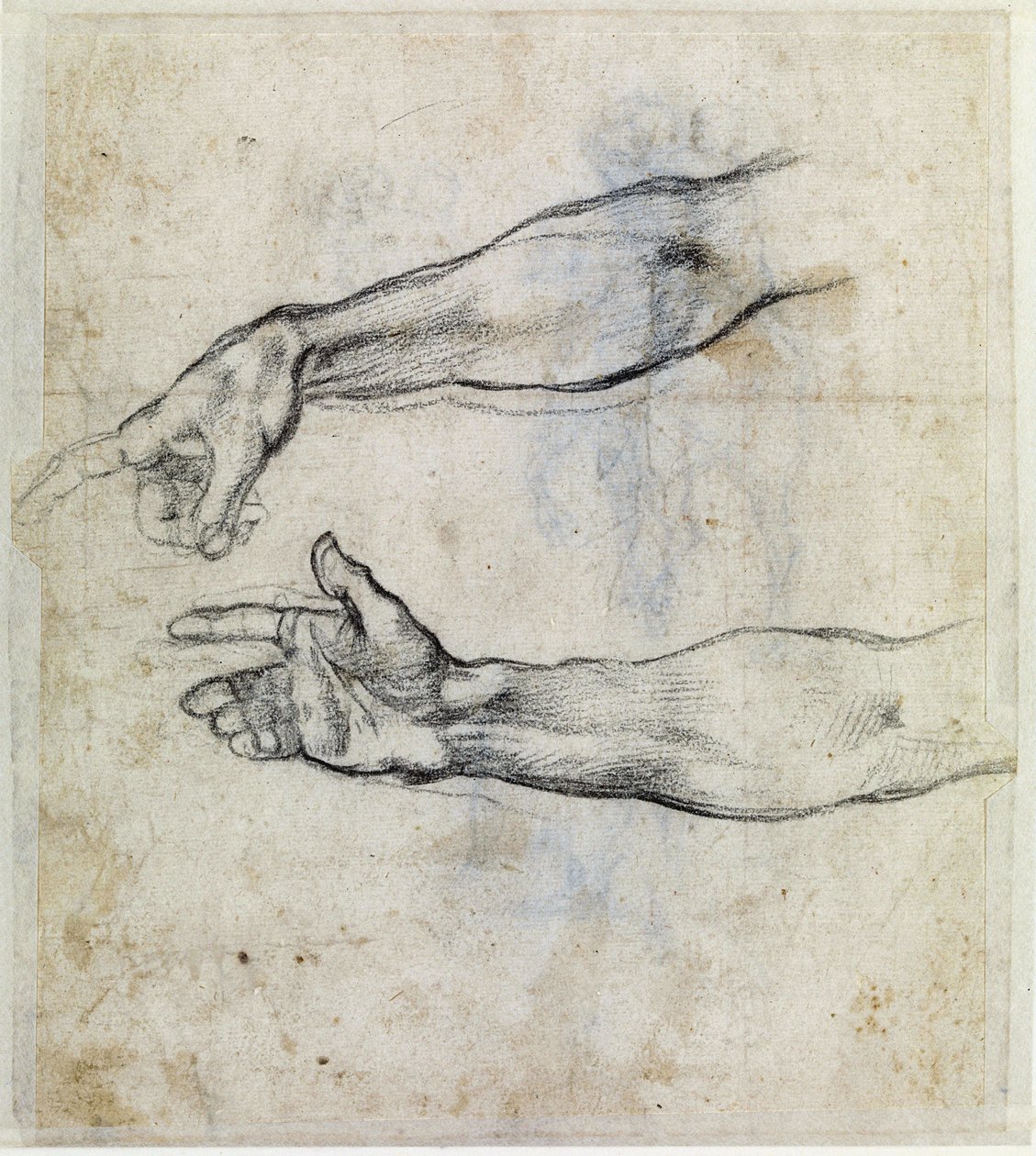  od Michelangelo Buonarroti