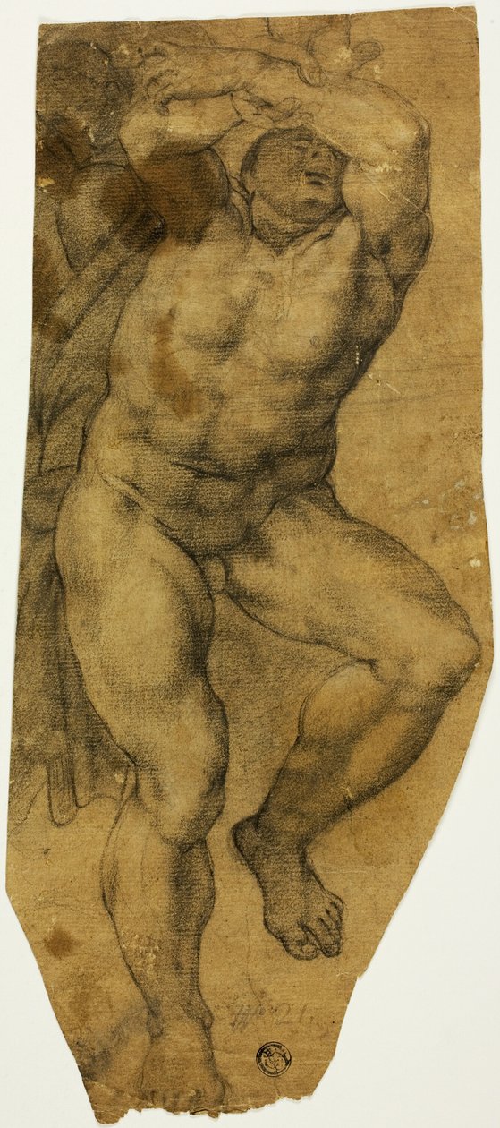Vzestupný mužský akt od Michelangelo Buonarroti