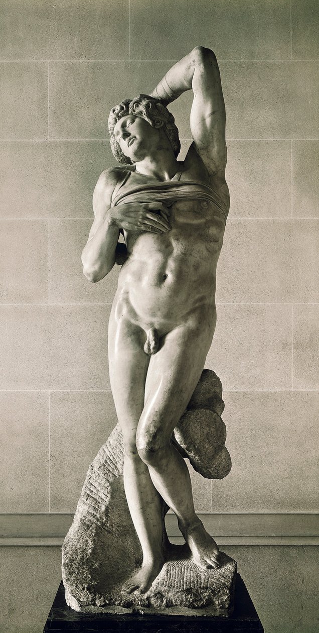 V zajetí, řekl Umírající otrok od Michelangelo Buonarroti