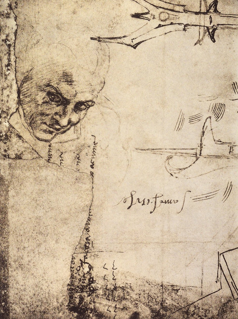 Tvář, kresba Michelangelo, Kabinet kreseb a tisků, Galerie Uffizi, Florencie od Michelangelo Buonarroti