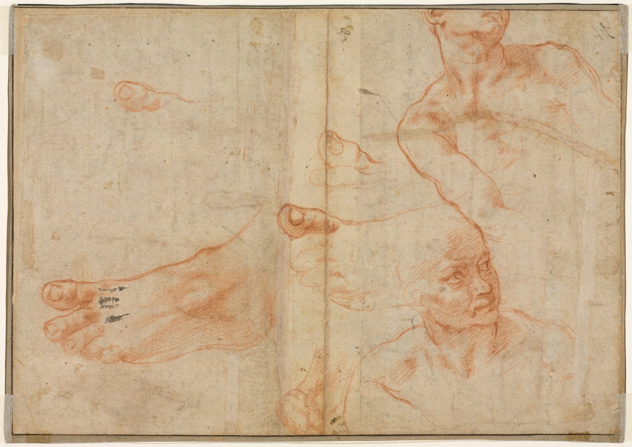 Figurální studie pro Sixtinský strop verso, 1510-11. od Michelangelo Buonarroti