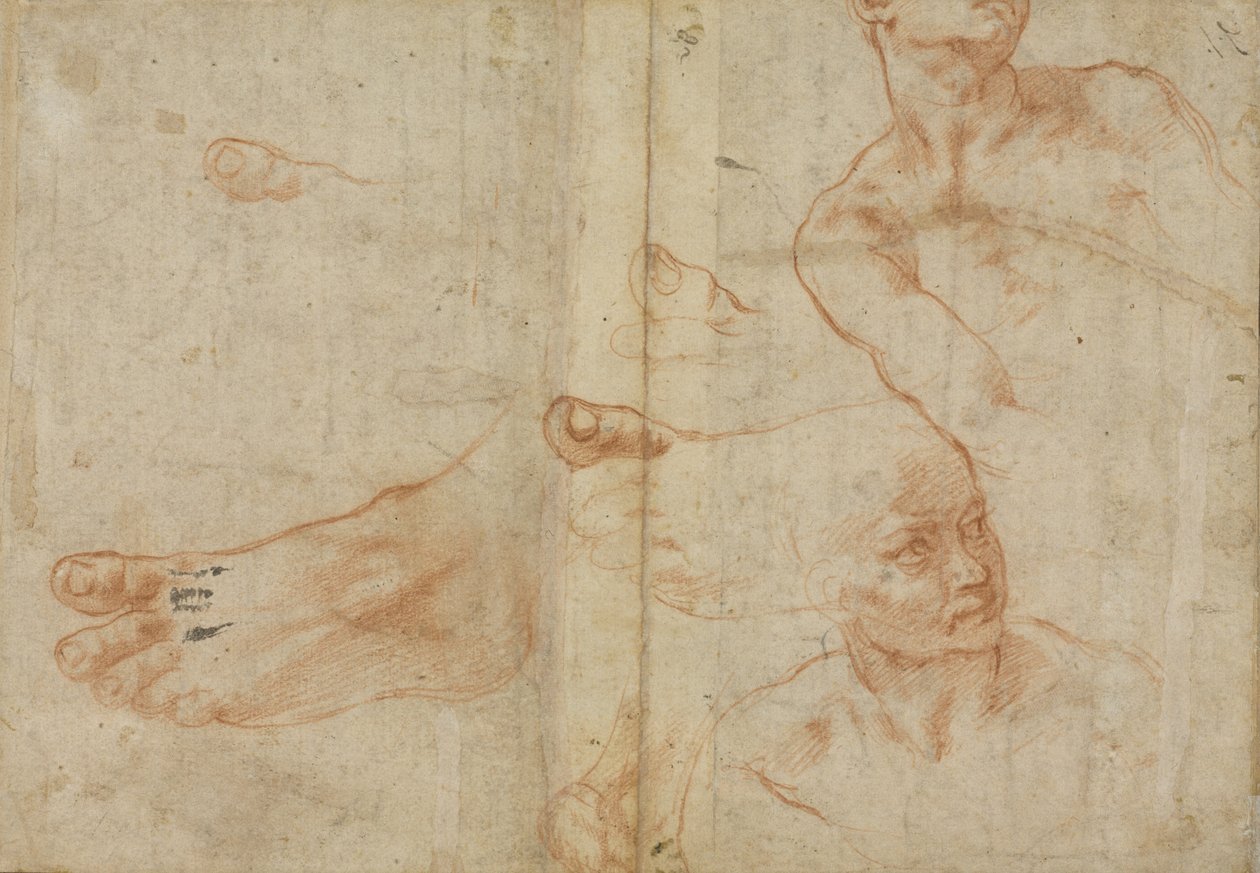 Figurální studie pro Sixtinský strop od Michelangelo Buonarroti