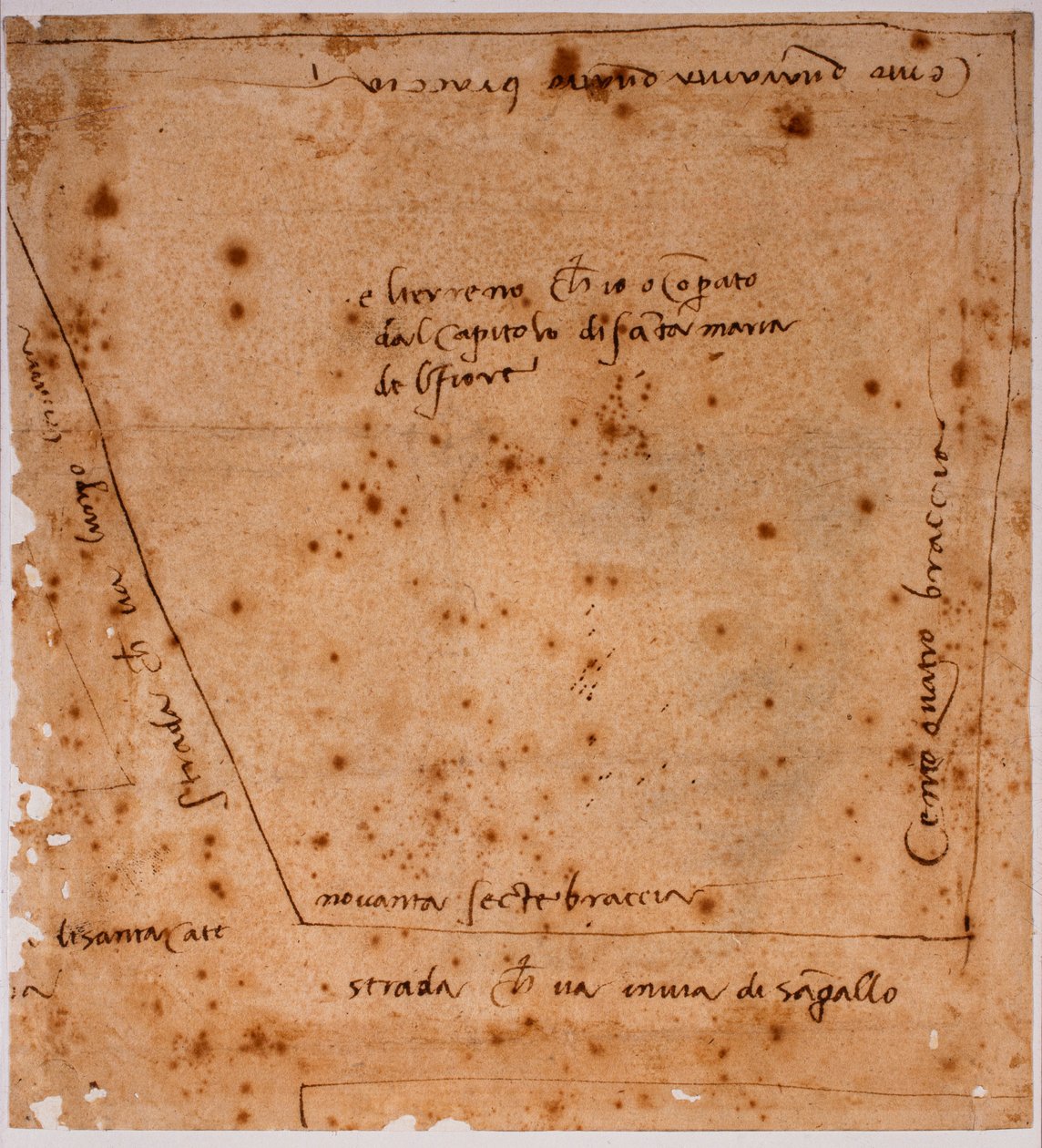 Půdorys od Michelangelo Buonarroti
