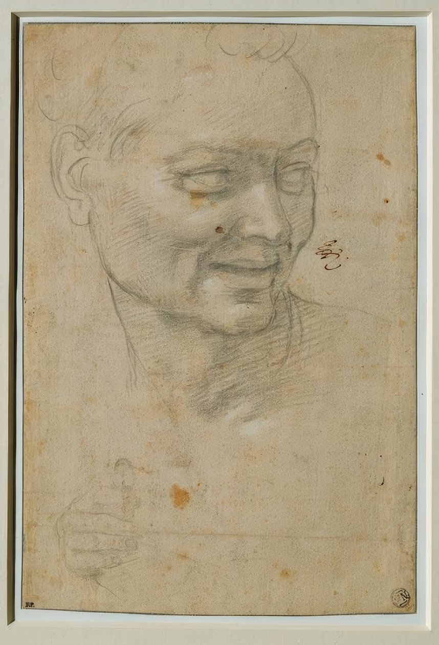 Hlava a pravá ruka Ignuda nahoře a nalevo od Izaiáše od Michelangelo Buonarroti