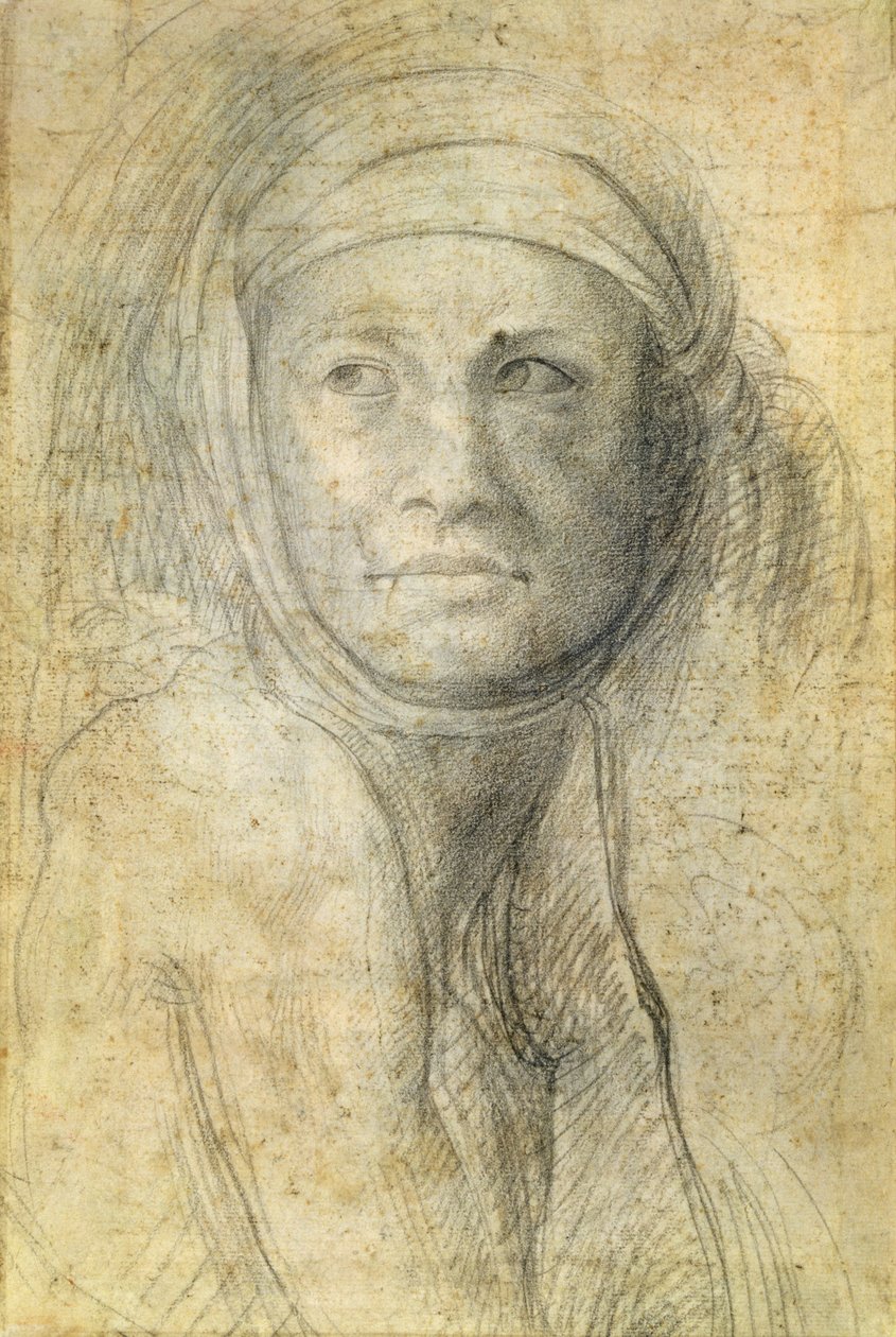 Hlava ženy od Michelangelo Buonarroti