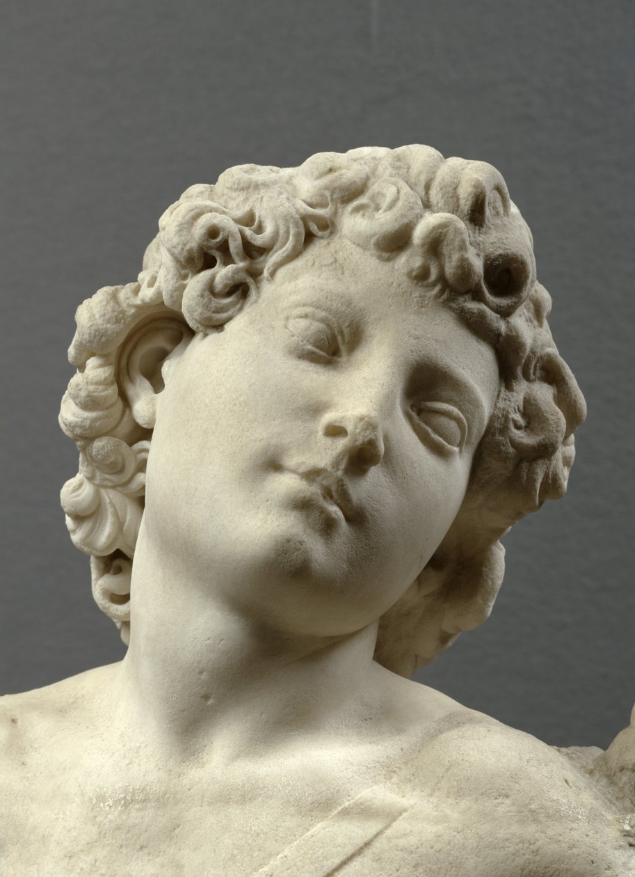 Head of the 