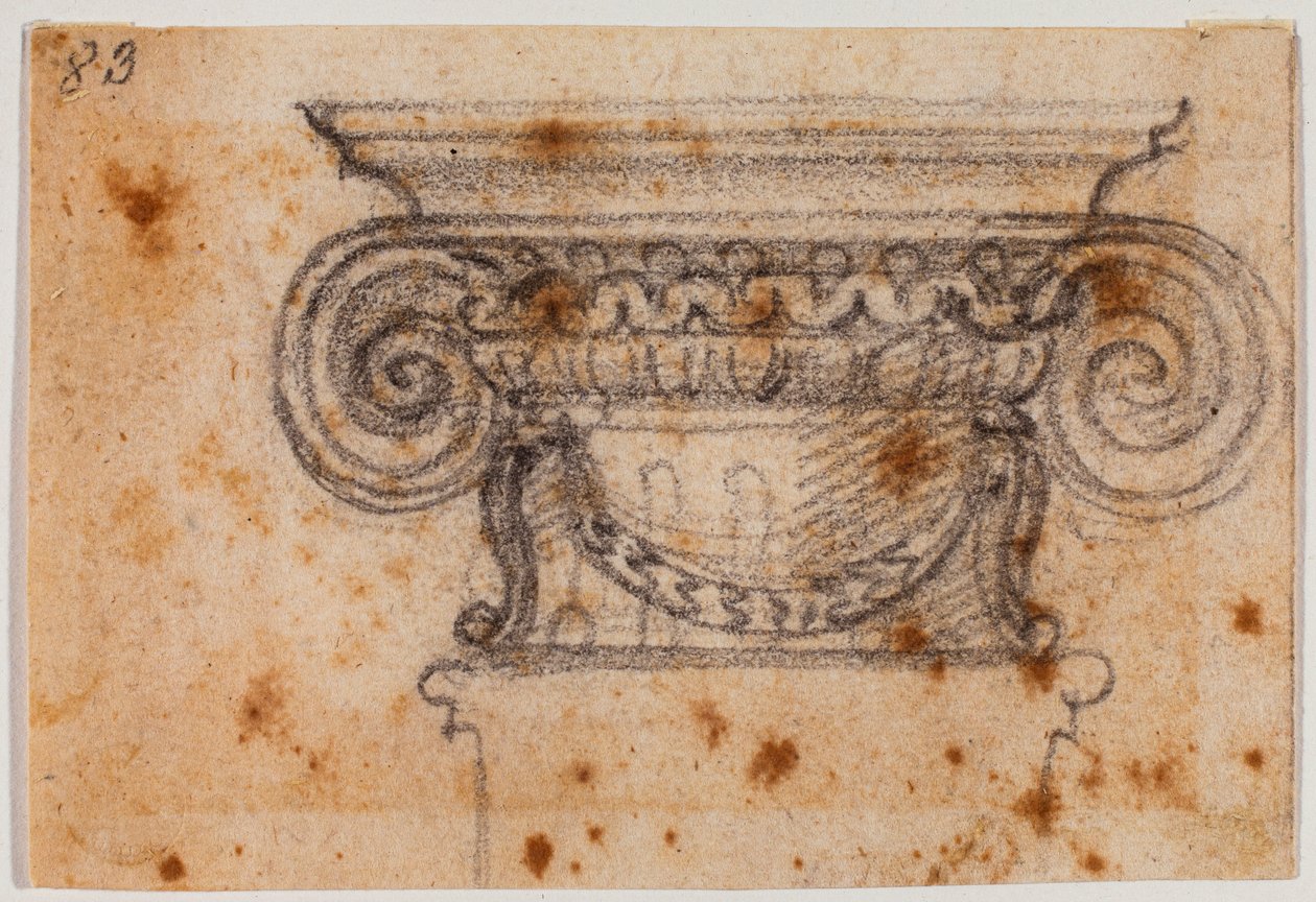 Studie iontového kapitálu od Michelangelo Buonarroti