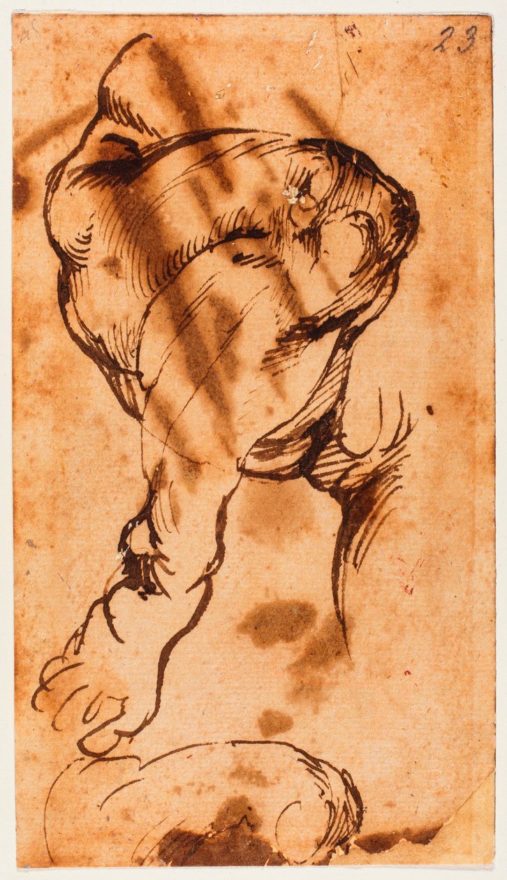 Studie nohou pro dítě v Doni Tondo od Michelangelo Buonarroti