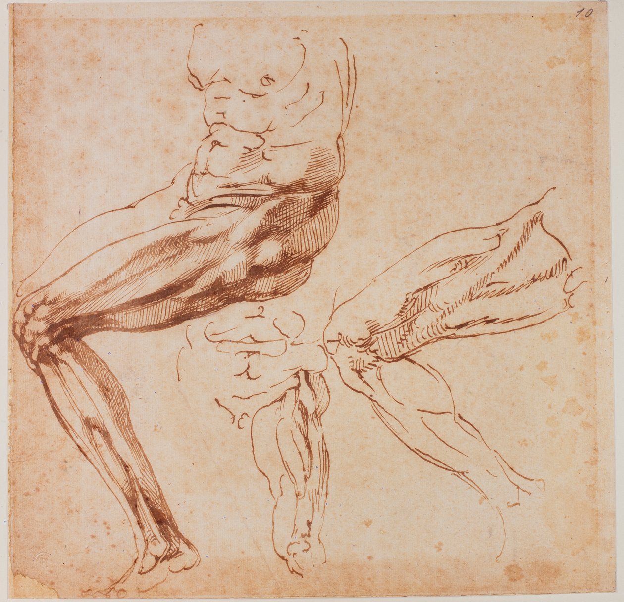 Studie nohou od Michelangelo Buonarroti