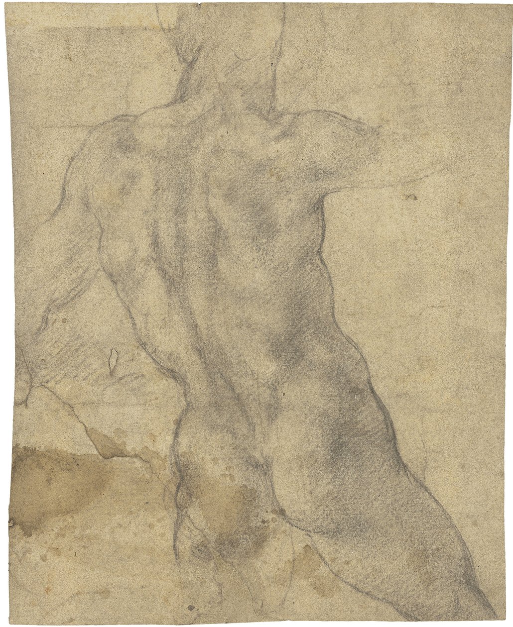 Mužský akt od Michelangelo Buonarroti