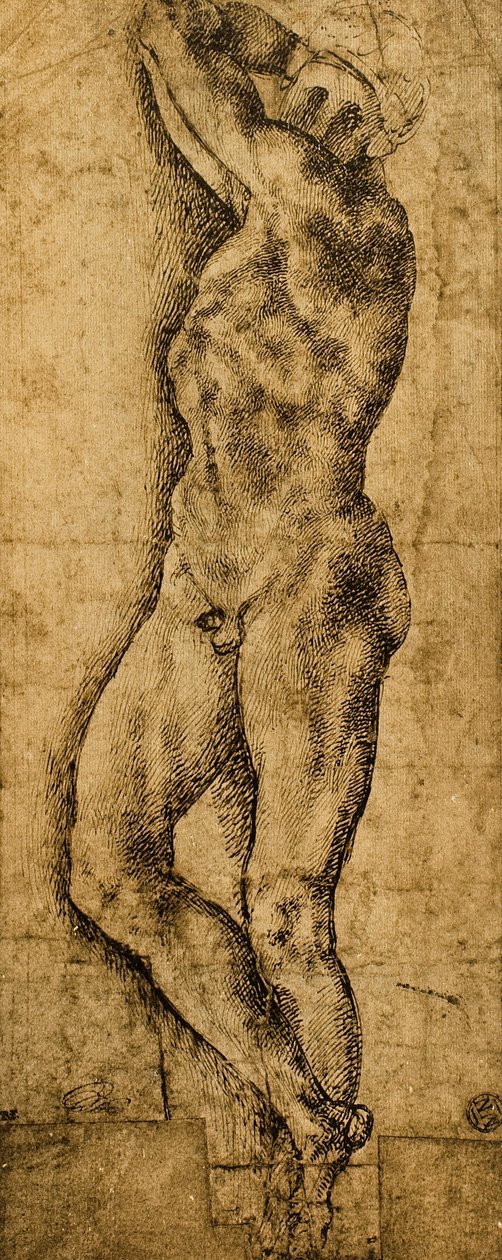 Mužský akt; kresba Michelangelo. Louvre, Paříž od Michelangelo Buonarroti