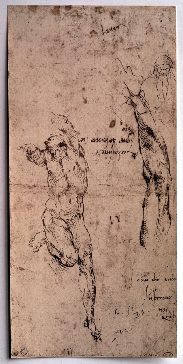 Nahý muž, studie paže Kresba Michelangela Buonarroti dit Michelangelo (Michelangelo nebo Michel Ange od Michelangelo Buonarroti