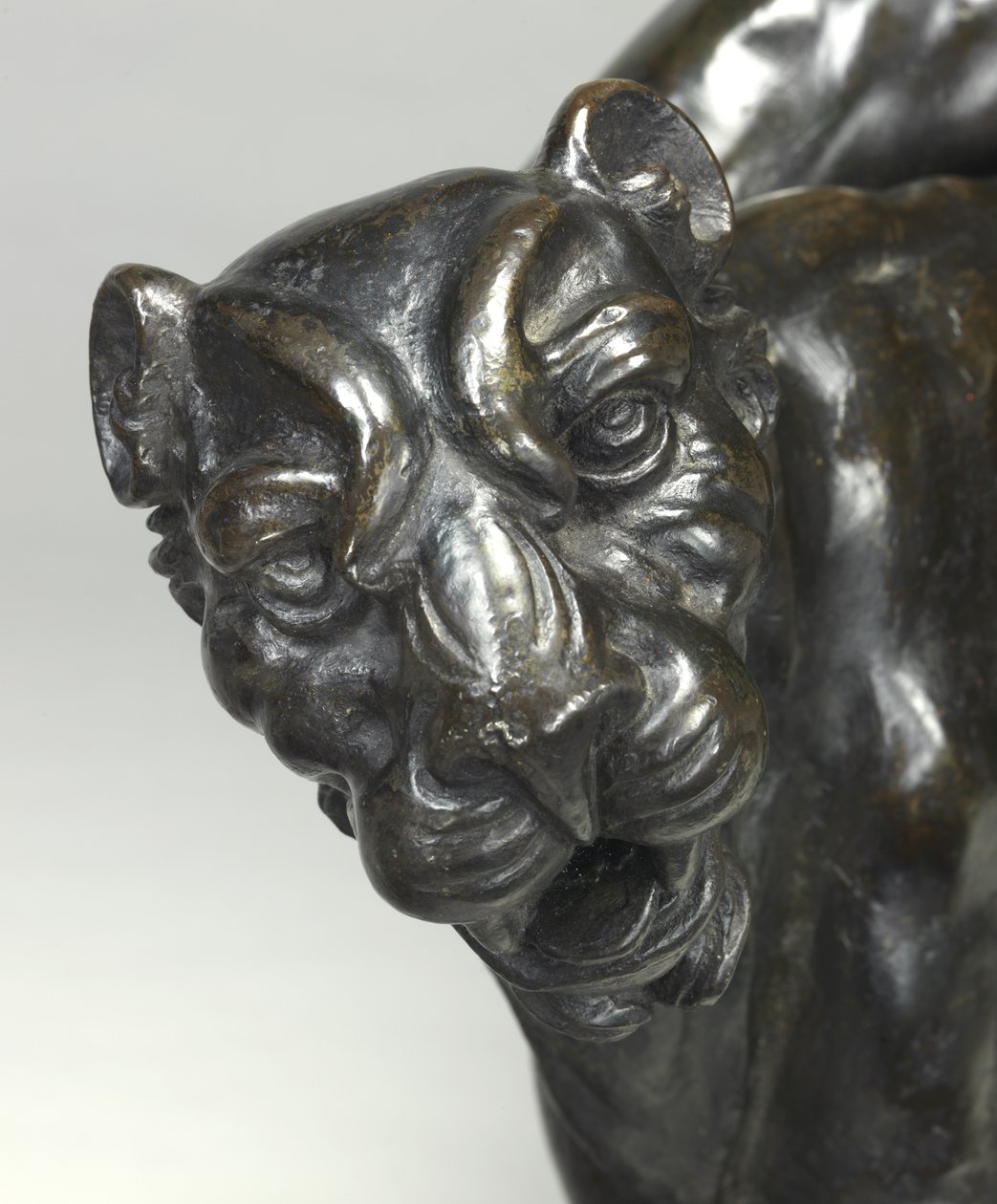 Nude bachants jezdící na panterech od Michelangelo Buonarroti