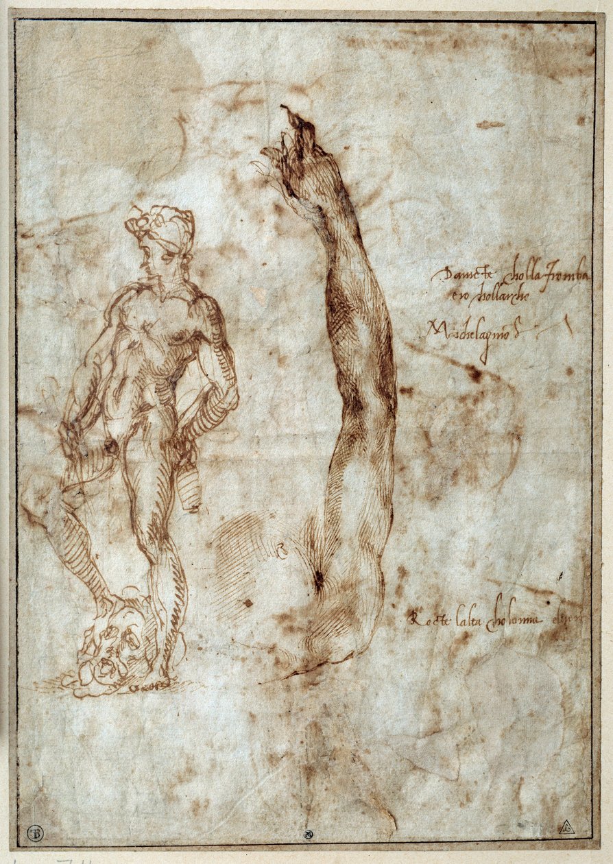 Nahé studium. Michelangelo Buonarroti dit Michelangelo (Michelangelo nebo Michel Ange od Michelangelo Buonarroti