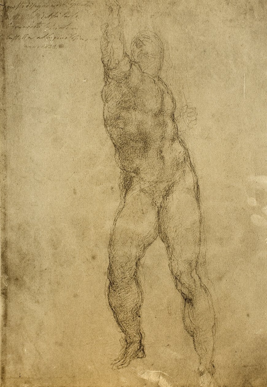 Studie aktu, kresba Michelangelo. Gallerie dellAccademia, Benátky od Michelangelo Buonarroti