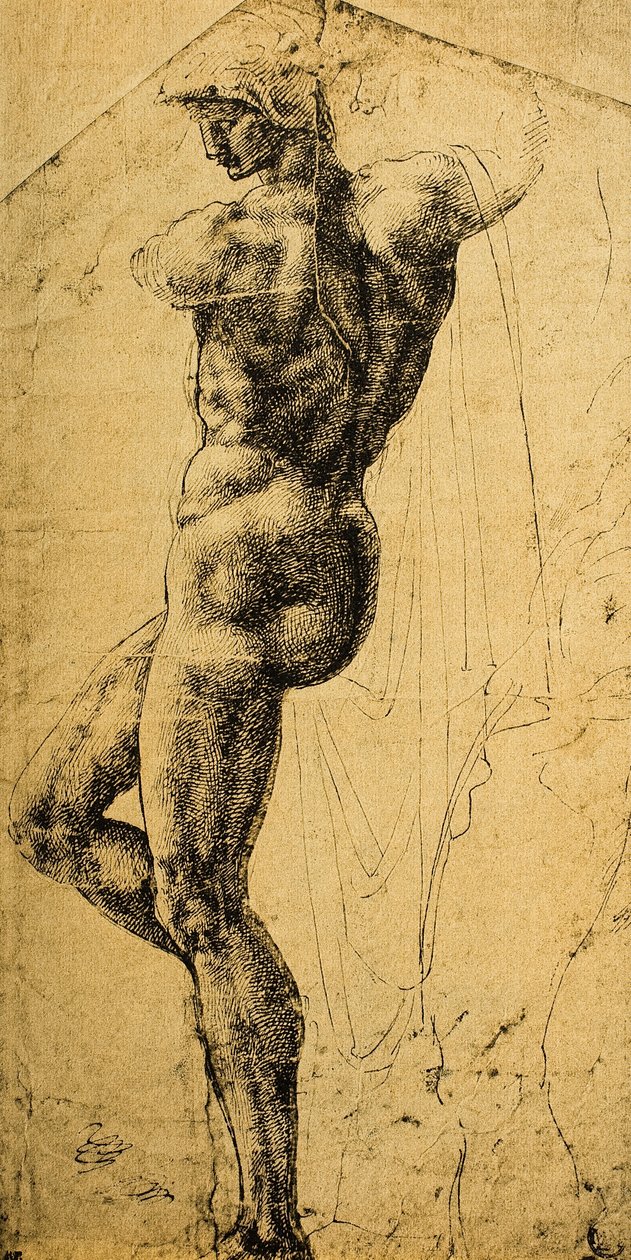 Studium aktu; kresba Michelangelo. Musee du Louvre, Paříž od Michelangelo Buonarroti